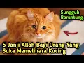 Download Lagu Inilah 5 Janji Allah Bagi yang Suka Memelihara Kucing, Nomor 5 Paling Diharapkan| Rahasia Qolbu