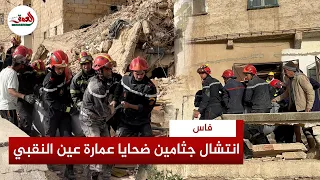                                                                                                      دندنها