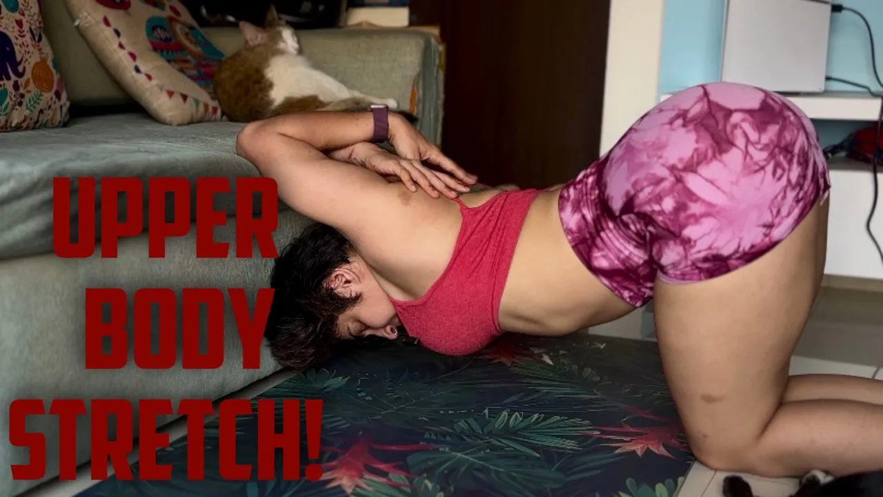 Upper Body Stretch
