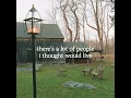 For Sale Sign (feat. Lizzy McAlpine) [Official Lyric Video] - Tiny Habits