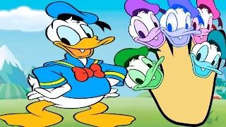 donald duck finger family nursery rhymes for kids
