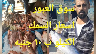 ب    جنيه ك السمك اي نوع   بلطي سردين شعور  انزلي بدري والحقي سمك الغلابه  سوق العبور  دندنها