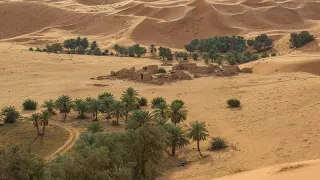 رقصة العروس   دام العرس   الواحة     دندنها
