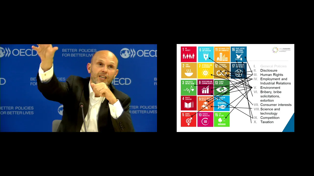 Crash course Nieuwenkamp Responsible Business OECD