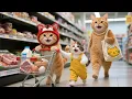 Download Lagu 🔴LIVE:Your Safe Haven with an Ginger Cat Family 🏡 | A Place to Go When You Feel Alone or Tired... Download Lagu 🔴LIVE:Your Safe Haven with an Ginger Cat Family 🏡 | A Place to Go When You Feel Alone or Tired...