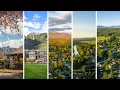 Best Small Towns Near Seattle to live in