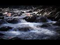 Download Lagu Peaceful River in the Forest – Ambient Water Sounds for Study \u0026 Calm