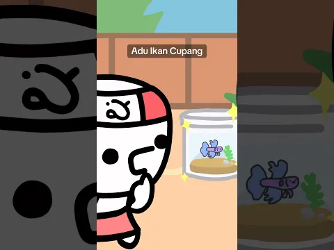 Ciko Dapet Ikan cupang dari mana😭!!??