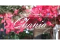 Download Lagu Chania | Visual Sessions 001