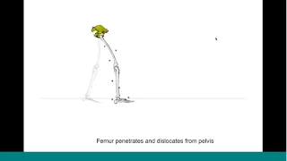 OpenSim Webinar Tips and Tricks for Data Collection Scaling and Inverse Kinematics in OpenSim