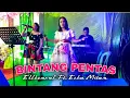 Download Lagu Bintang Pentas Live Cover Electone - Ellhenonk - Cicen Audio Sound #bintangpentas