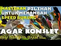 Download Lagu MASTERAN KOMPLIKASI BURUNG BURUNG KECIL UNTUK MENAMBAH SPEED BURUNG KICAU AN AGAR MENJADI KONSLET.