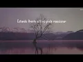 Porter - Pajaros