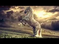 Download Lagu самый красивый нашид!!!слушать всем.