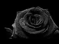 Download Lagu Blackrose - Cinta Abadi