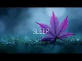Download Lagu Ontspannende Gitaarmuziek voor Vredige Momenten | Herfst Zen voor Meditatie, Rust en Diepe Slaap