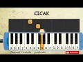 not pianika cicak - tutorial belajar pianika lagu anak - not angka cicak di dinding