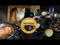 CAT CAFE - unique relaxing experience in London Java Whiskers