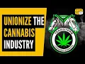 Meet the Teamsters unionizing the cannabis industry