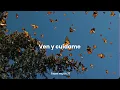 Amárrame - Mon Laferte (Juanes) // Letra