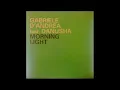 Gabriele D'Andrea Feat. Danusha ‎– Morning Light (Laurent Wolf Extended)