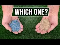 Coated Seed Vs Uncoated Seed - Which One Should You Choose