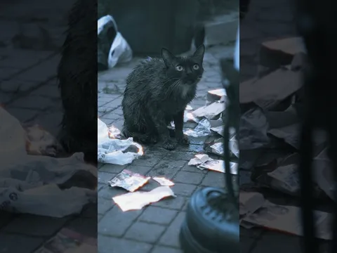 «спасатель»