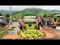 Lagu Buying 500+ Giant Guava Fruits from Trader to Sell at Village Market – Sold Out in 60 Minutes