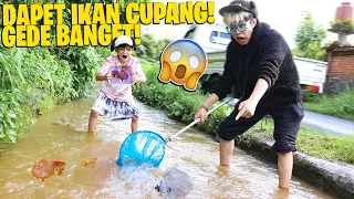 Download BERBURU IKAN CUPANG BESAR DI SALURAN PENGAIRAN YANG VIRAL!!! TANGKEP SEMUA, DAPET BANYAK BANGET!!! MP3