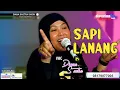 Download Lagu SAPI LANANG COVER DIANA SASTRA