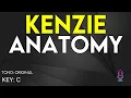 Kenzie - Anatomy - Karaoke Instrumental