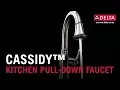 Cassidy Kitchen Pull-Down Faucet