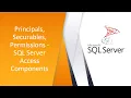 Principals Securables Permissions - SQL Server Access Components