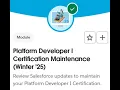 Platform Developer I Certification Maintenance Winter 25 - All Challenges in 1 Salesforce