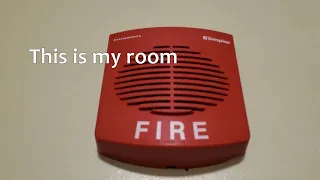 Florida State University Room Tour Traditions Hall
