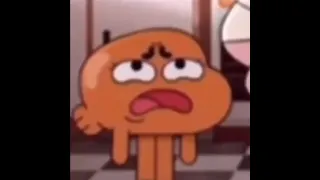 Boi What The Hell Boi 