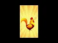 Download Lagu DJ AYAM KOK #shorts