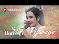 Soegi Bornean - Pijaraya