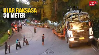ular raksasa 50 meter melintas di depan mata orang indonesia semua melihatnya