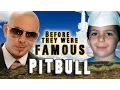 Pitbull Before They Were Famous Biography