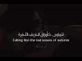 Zleepyfred -  last leaves of autumn مترجمة 