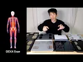Body Fat Scale Accuracy vs DEXA Scans Dual-Energy X-Ray Absorptiometry