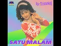 Satu Malam (Remix)