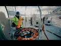 Wyssen Avalanche Control - The Reference for operational avalanche risk management