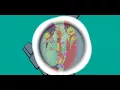 Download Lagu The Rain - Dengar bisikan ( Official Video Music Kreatif )