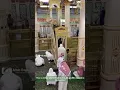 Download Lagu Riaz Ul Jannah Madina Masjid Nabawi History \u0026 Ziyarat #shorts #masjidnabawi #madina #youtubeshorts