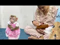 Download Lagu Monkey Diana is sad because her mother bought new clothes for the baby but not for her.