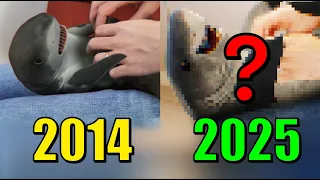 Surprised Baby Shark - After 11 Years