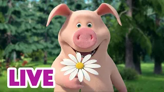 🔴 LIVE! Masha dan Beruang 👧🐻 Siapa yang Membuat Rosie Tersenyum? 🐷💞 Kartun anak-anak 🎬