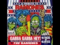 Download Lagu Rancid - Sheena Is A Punk Rocker(Ramones cover)